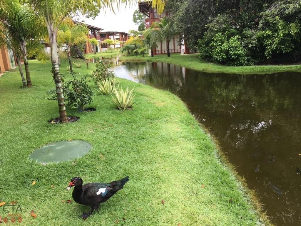 Villa Da Enseada, Praia Do Forte Exteriör bild