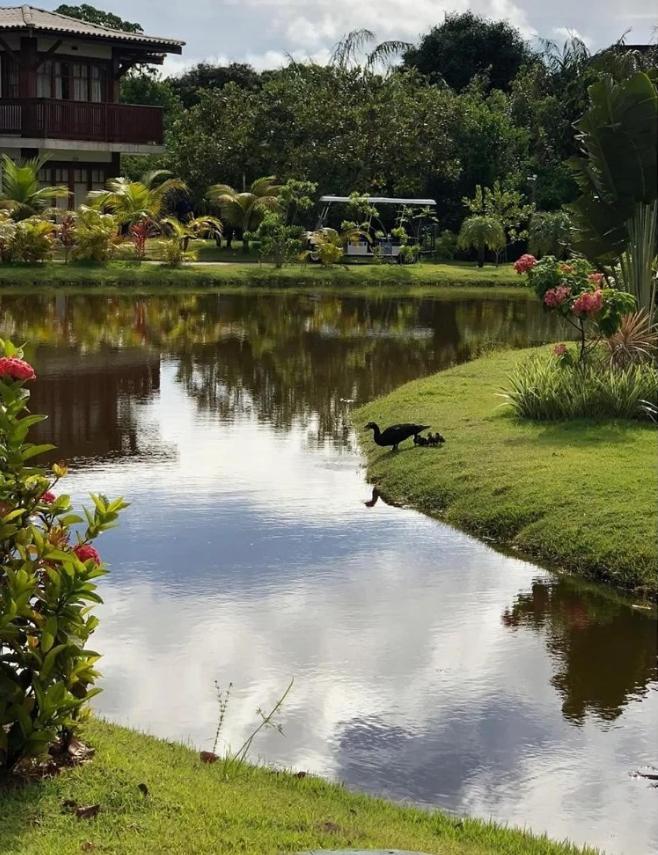 Villa Da Enseada, Praia Do Forte Exteriör bild